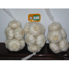 Chinese Fresh garlic